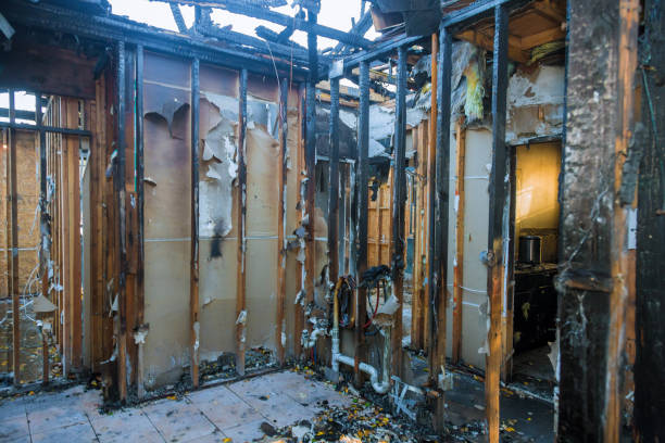 Professional Fire Damage Removal technician working in Kalona, IA